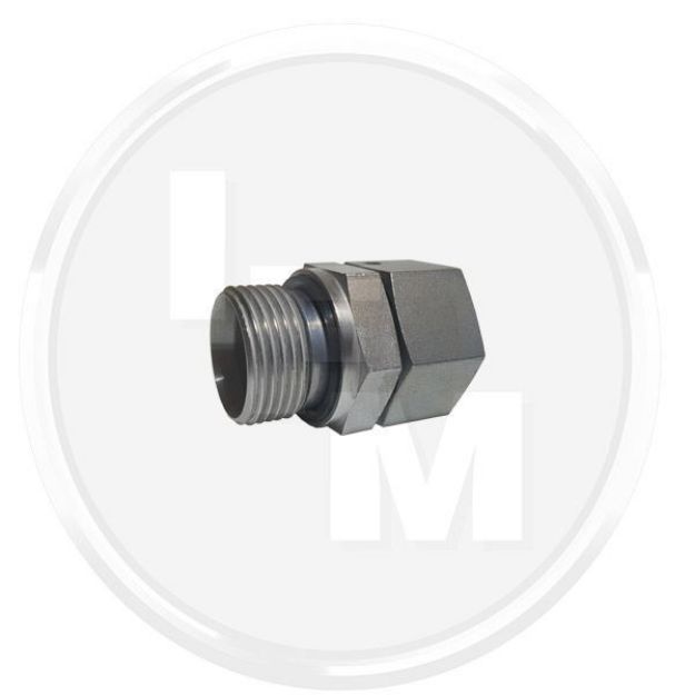 Picture of 25-S (3/4 X 25S Male x Female)