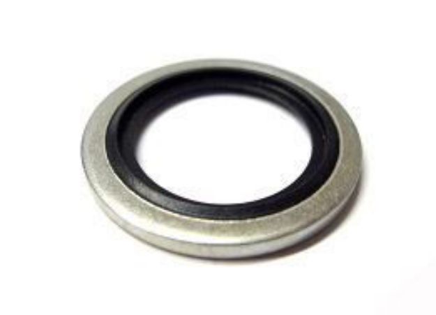 Picture of 3" BSP DOWTY SEAL