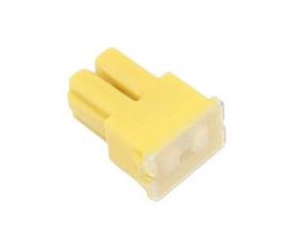 Picture of FUSE 60 AMP