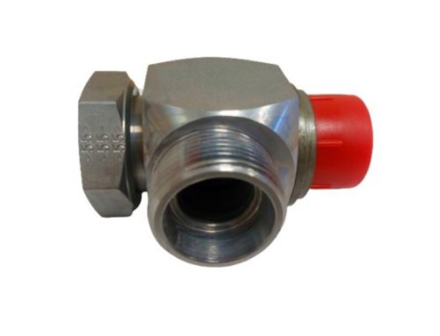 Picture of DS SBE 18-RL/EDE   BANJO FITTING